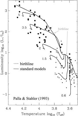 Theoretical Predictions of Surface Light Element Abundances in Protostellar and Pre-Main Sequence Phase